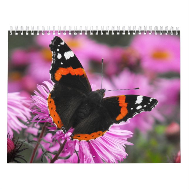 Papillons du calendrier du monde 2020 (Protection)