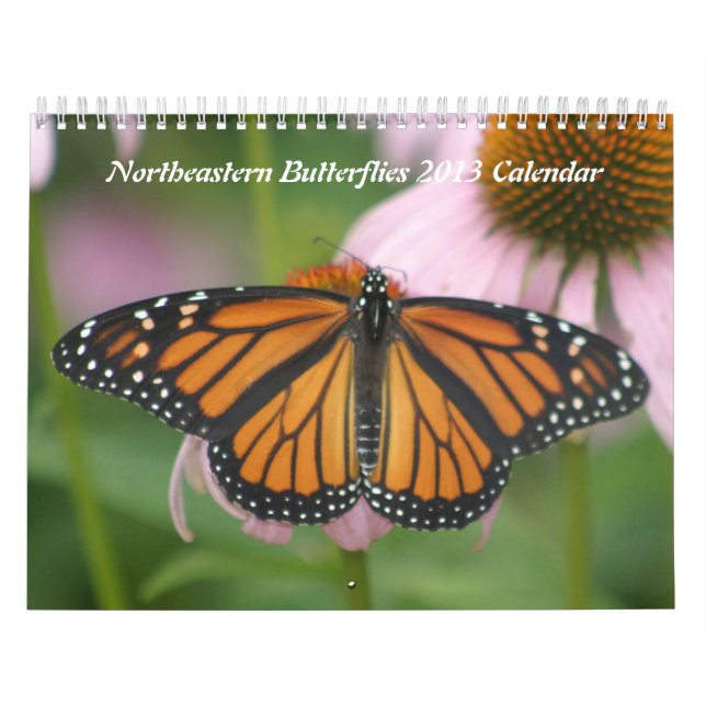 Papillons du nord-est Calendrier 2013 (Protection)