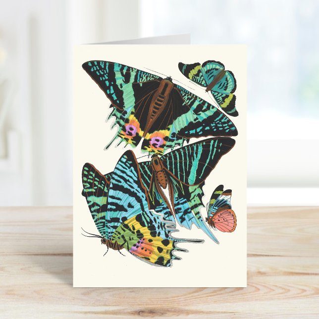 Papillons | Emile-Allain Séguy Card (Creator Uploaded)