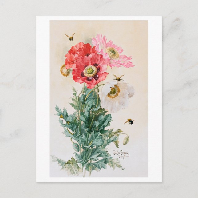 Papillons et abeilles Peinture Carte postale Vinta (Devant)