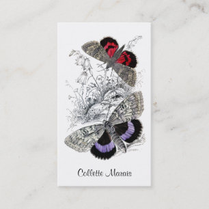 Papillons Et Carte D'Appel De Folithe