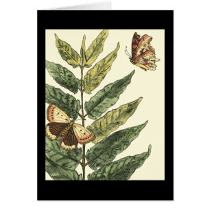 Papillons et feuille avec le cadre noir