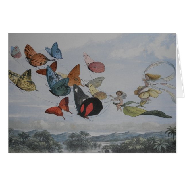 Papillons et papillons de la reine des fées (Devant horizontal)
