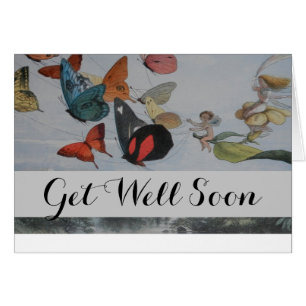 Papillons et papillons de la reine des fées