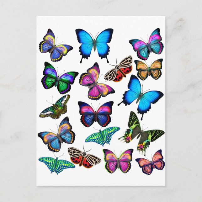 Papillons Fluttant par carte postale (Devant)