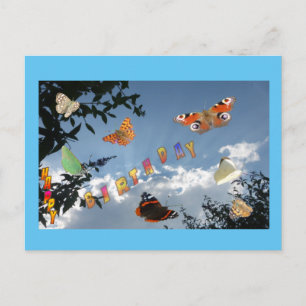 Papillons Hollandais Poussière. Carte postale Cadr