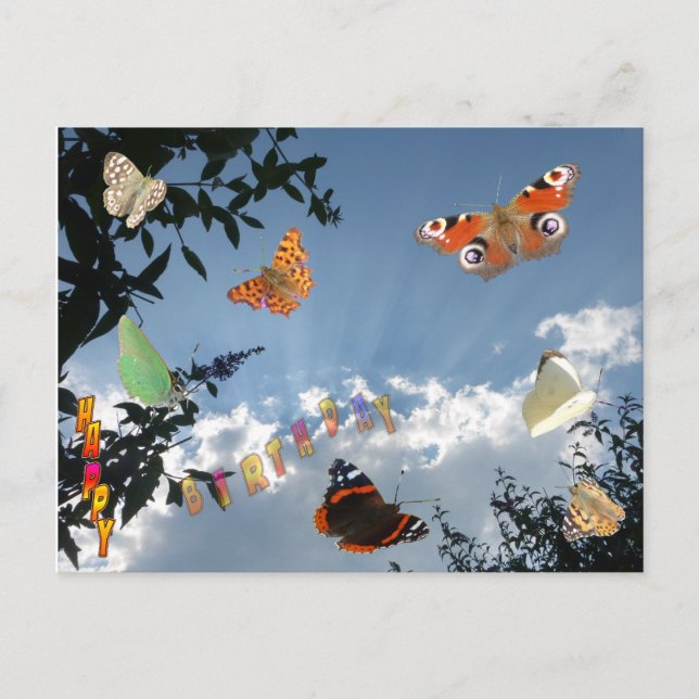 Papillons néerlandais Bonne carte postale d'annive (Devant)
