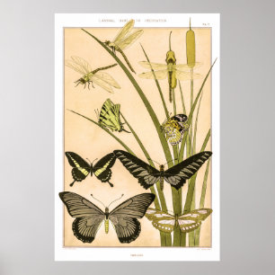 Papillons par Maurice Pillard Verneuil Poster