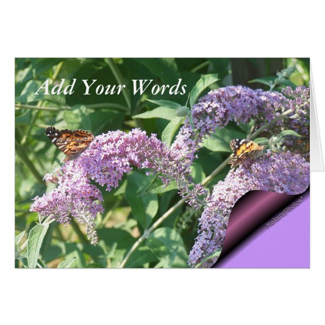 Papillons sur la ButterflyBush-personnaliser (Devant horizontal)