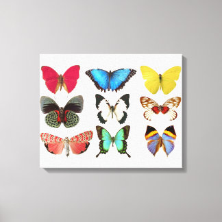 Papillons - toile Impression