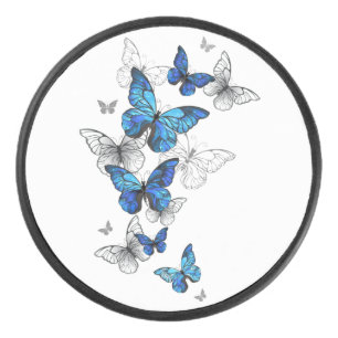 Papillons volants bleus Morpho