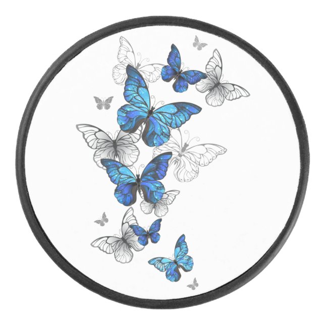 Papillons volants bleus Morpho (Devant)