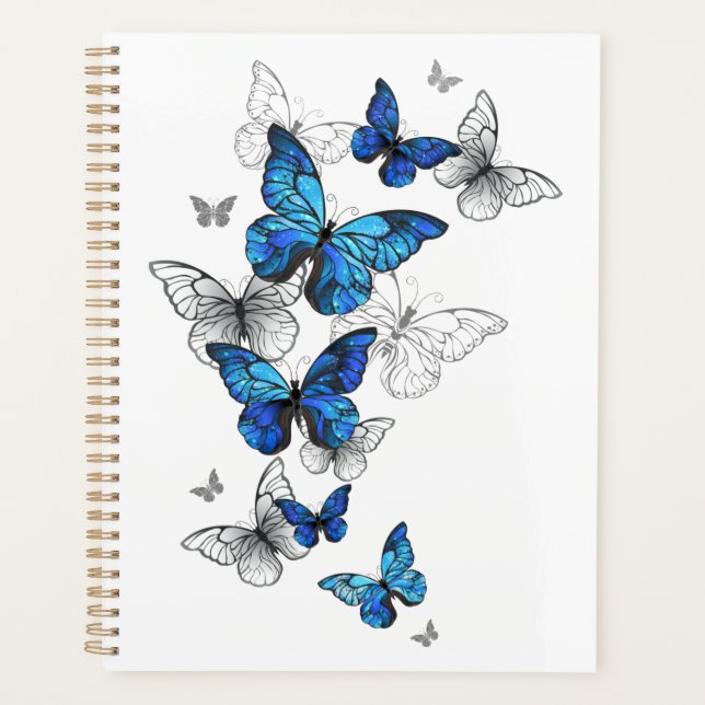 Papillons volants bleus Morpho (Devant)