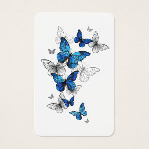 Papillons volants bleus Morpho