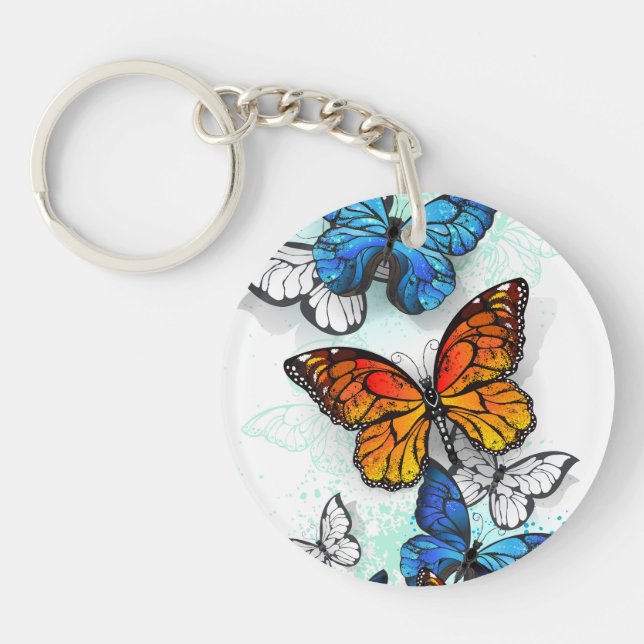 Papillons volants Morpho et Monarch (Devant)