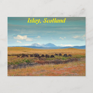 Paps of Jura from Islay, Scotland Postcard