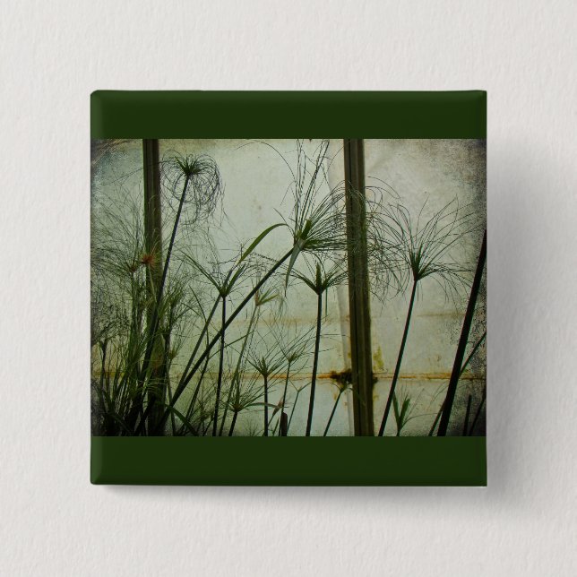 Papyrus 2 Inch Square Button (Front)