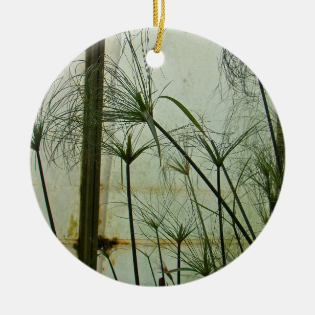 Papyrus Ceramic Ornament (Front)