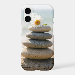 Pâquerette sur un cairn de plage en pierre avec du
