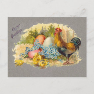 Pâques - poussins, oeufs et coq - carte postale