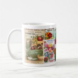 Paquets de semences Mug