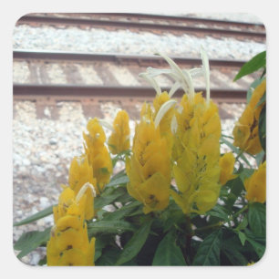 Par le Sticker Tracks