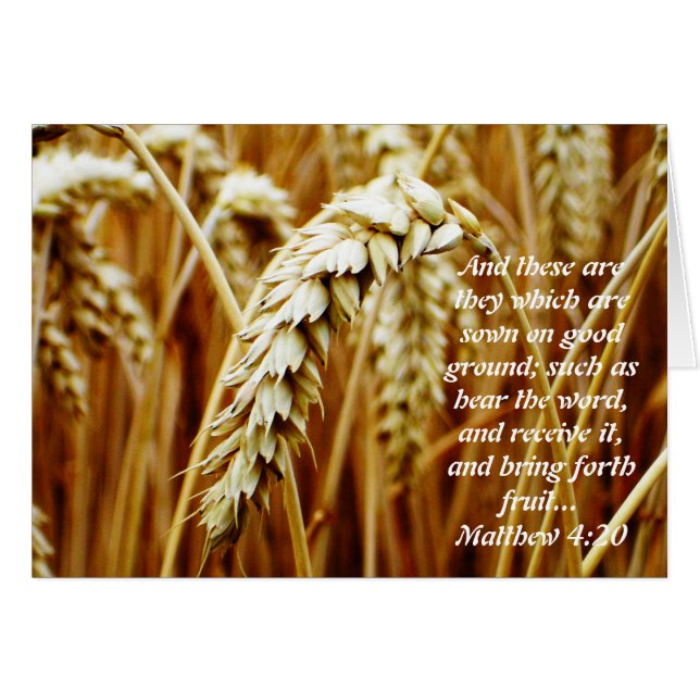 Parable of the Sower Blank Card (Front Horizontal)