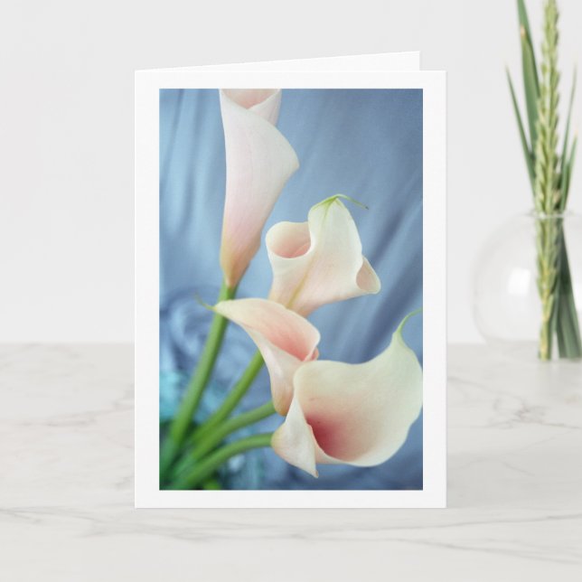 Parade de soie Cartes de voeux blanches Calla Lily (Devant)