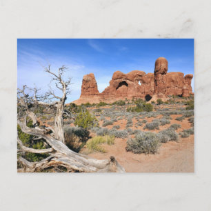 Parade of Elephants at Arches National Park Postcard