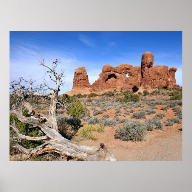 Parade of Elephants at Arches National Park Poster (Front)