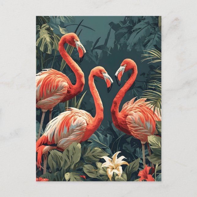 Paradis du Flamant rose tropical : carte postale V (Devant)