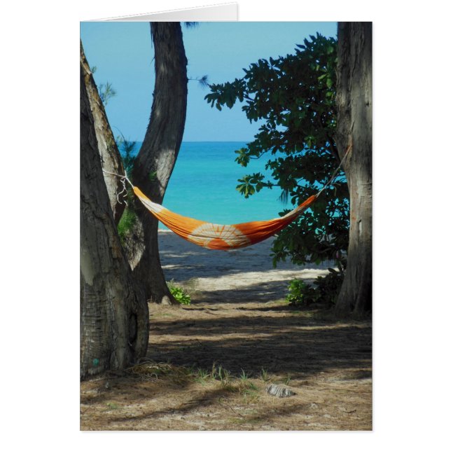 Paradis hawaïen (Devant)