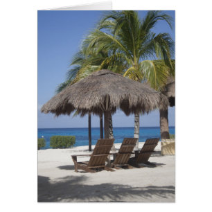 Paradis mexicain de la plage