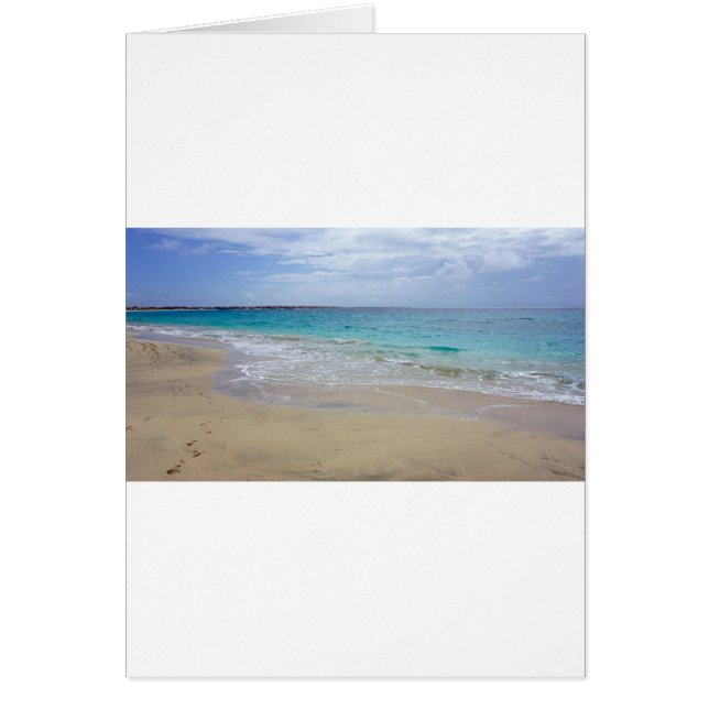 paradis tropical (Devant)