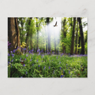 paradis trouvé carte postale