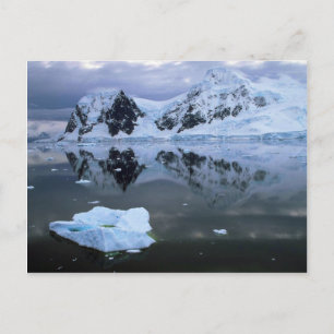 Paradise Bay, Antarctica Postcard