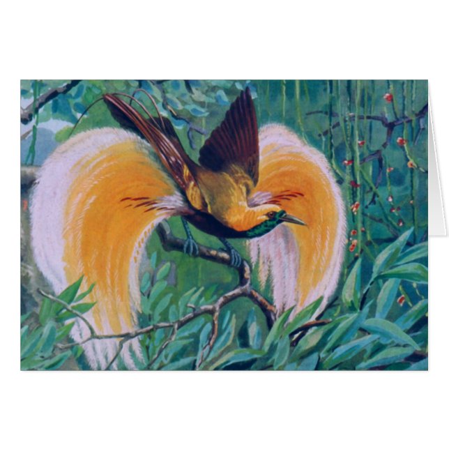 Paradise Bird Card (Front Horizontal)