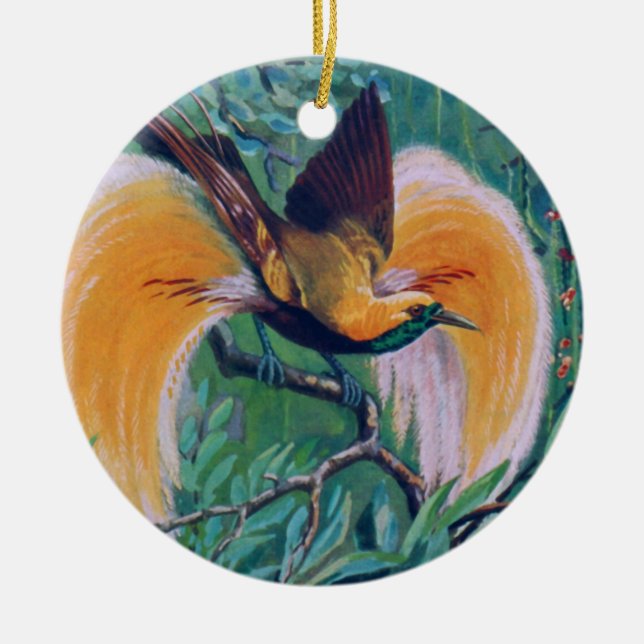 Paradise Bird Ornament (Front)