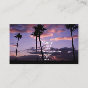 Paradise Business Card