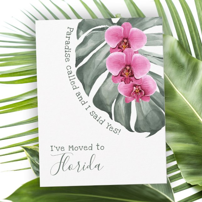 Paradise Called Tropical Orchids I've Moved Postcard (Creator Uploaded)
