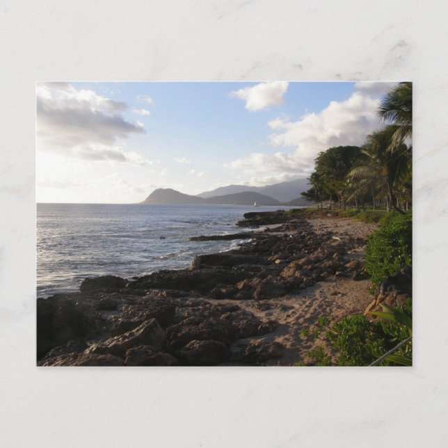 Paradise Cove postcard (Front)