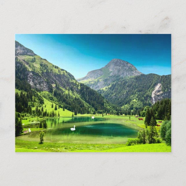 Paradise Cove Postcard (Front)