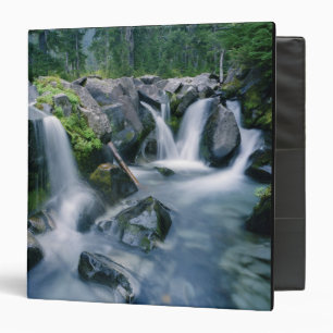Paradise Creek flows down slopes of Mount Binder