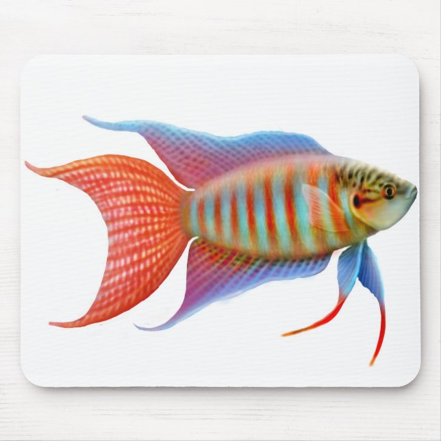 Paradise Gourami Fish Mousepad (Front)