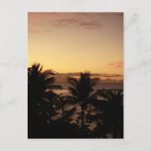 Paradise - Guam Postcard