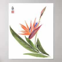 Paradise in Bloom