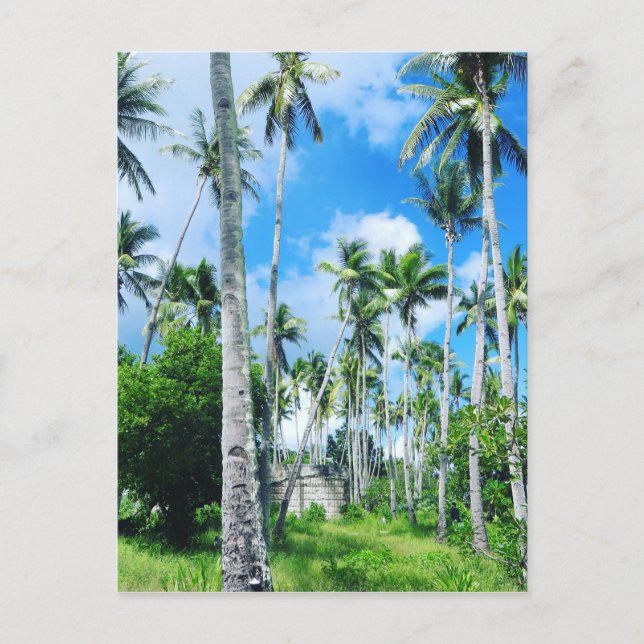 Paradise in the Pacific Postcard (Front)