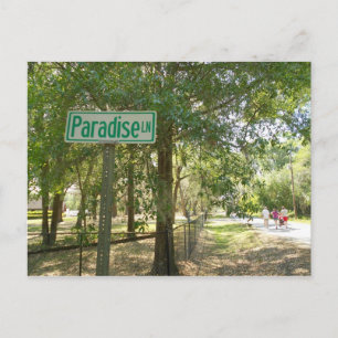 Paradise Lane Florida Postcard