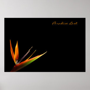 Paradise Lost Poster