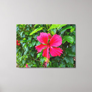 PARADISE MORNING CANVAS PRINT